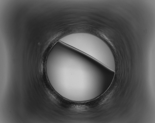 X0000086770637200704130837