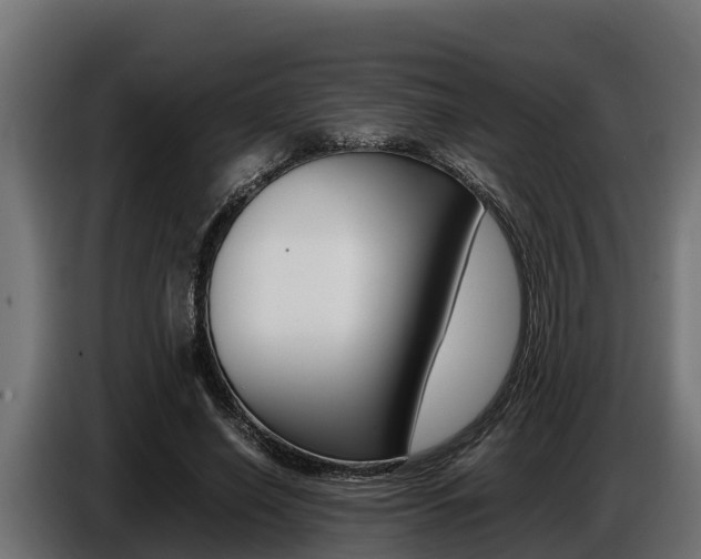 X0000086770638200704130837
