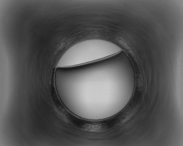 X0000086770639200704130837