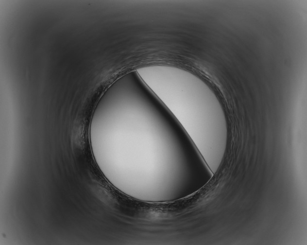 X0000086770641200704130837