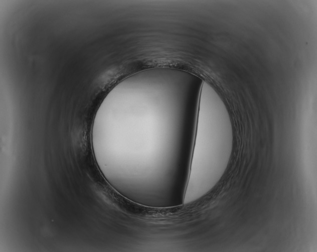 X0000086770642200704130837