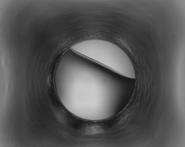 X0000086770643200704130837