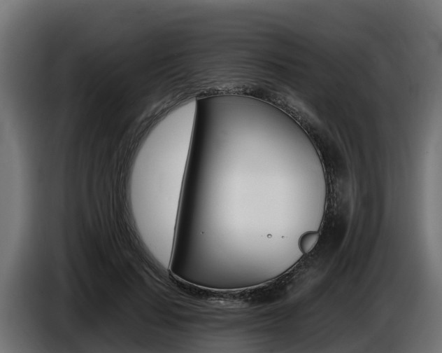X0000086770644200704130837