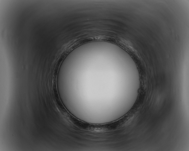 X0000086770645200704130837