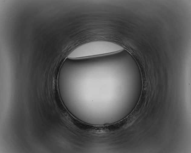 X0000086770646200704130837