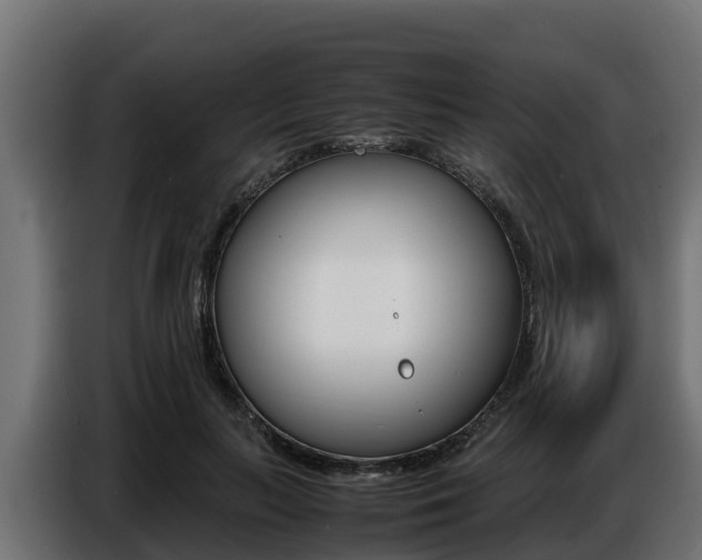 X0000086770647200704130837