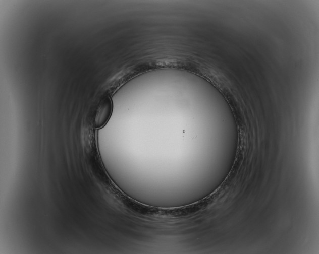 X0000086770648200704130837
