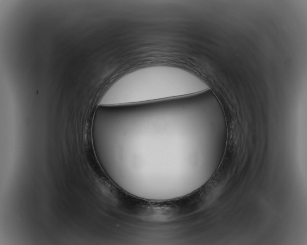 X0000086770650200704130837