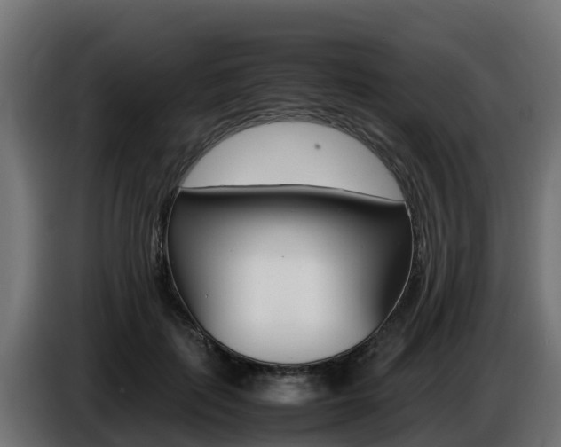 X0000086770651200704130837