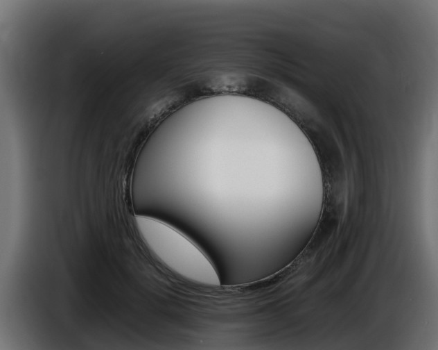 X0000086770652200704130837