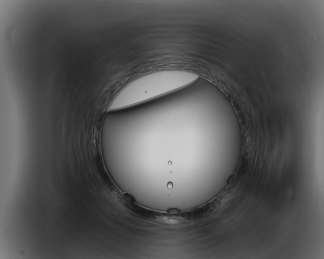 X0000086770654200704130837