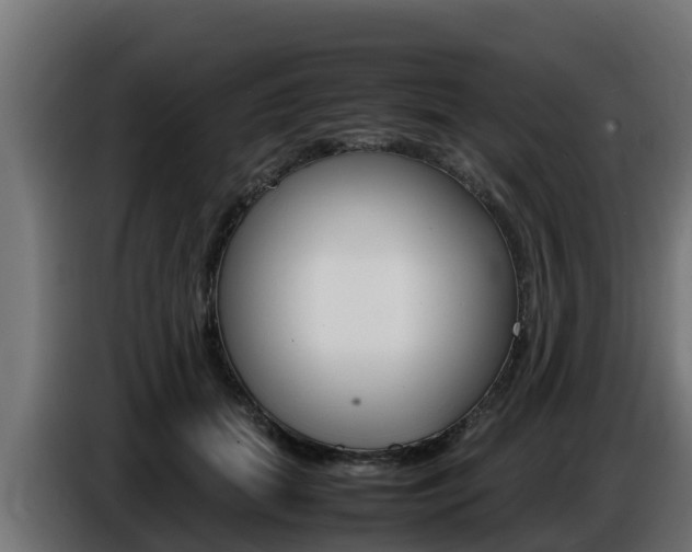 X0000086770655200704130837