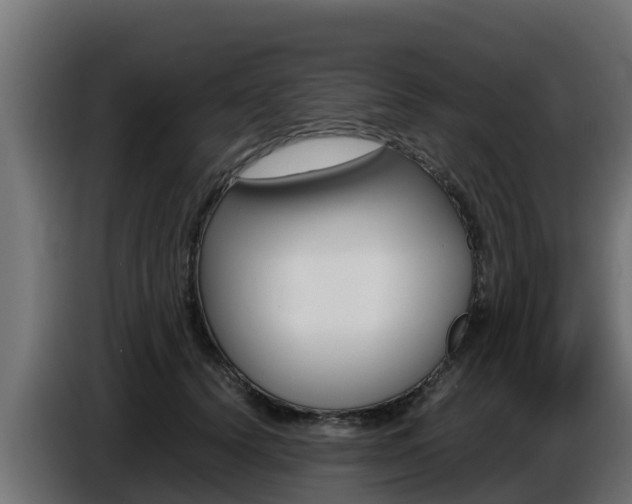 X0000086770656200704130837