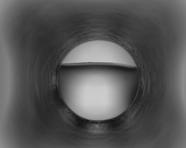 X0000086770657200704130837