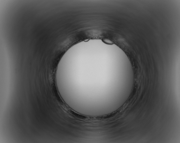 X0000086770658200704130837