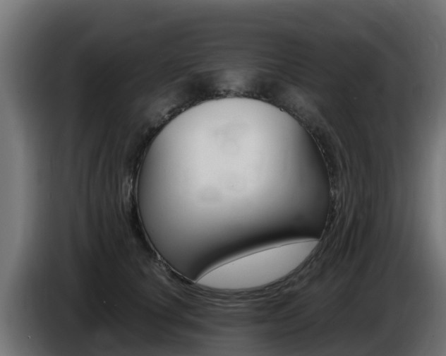X0000086770660200704130837