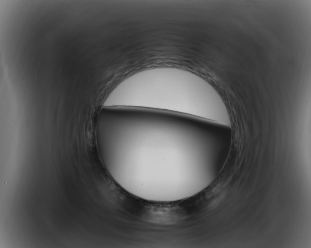 X0000086770661200704130837