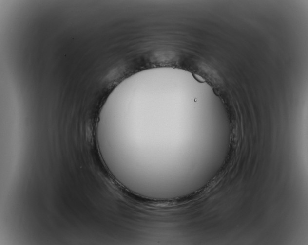 X0000086770662200704130837
