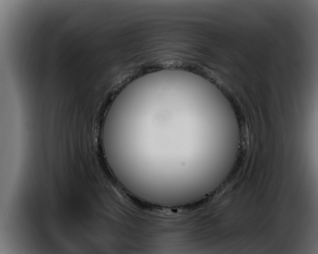 X0000086770664200704130837