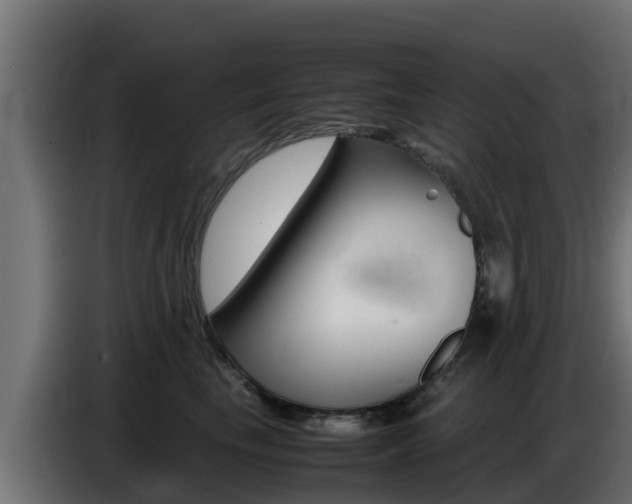 X0000086770665200704130837
