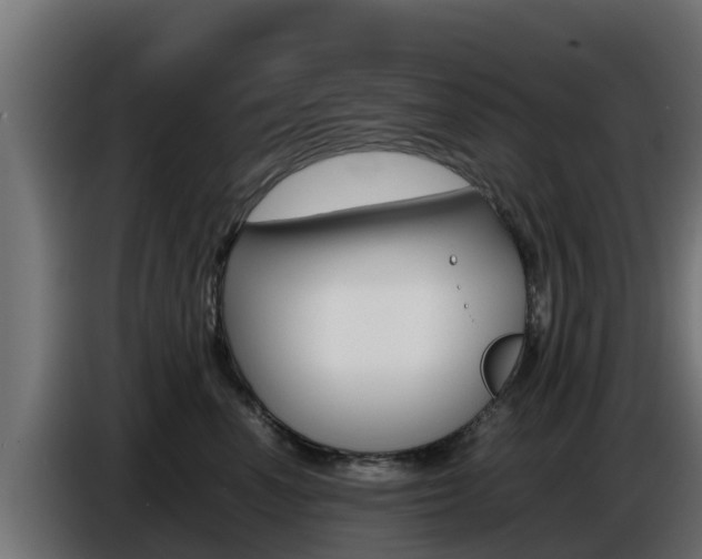 X0000086770666200704130837