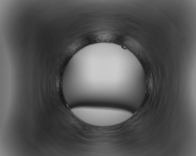 X0000086770668200704130837