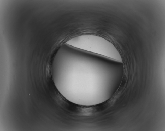 X0000086770669200704130837
