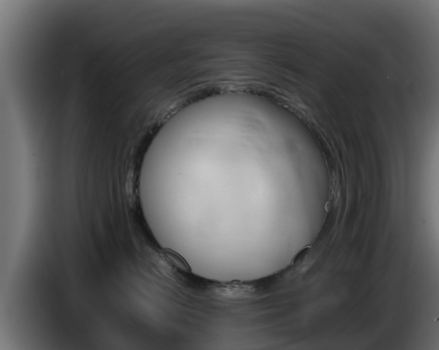 X0000086770670200704130837