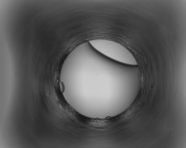 X0000086770671200704130837