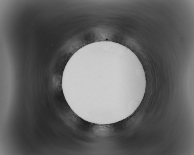 X0000086770672200704130837