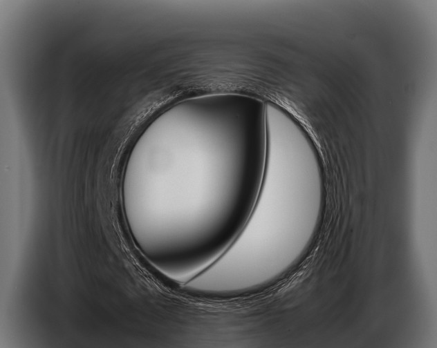 X0000086770673200704130837