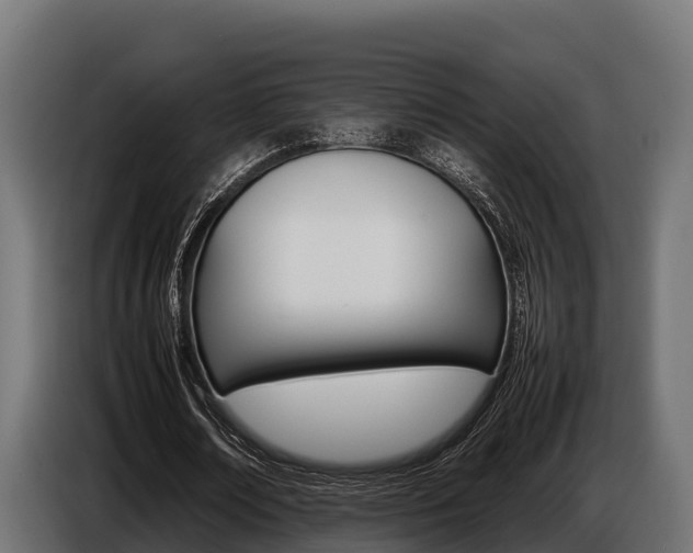 X0000086770674200704130837