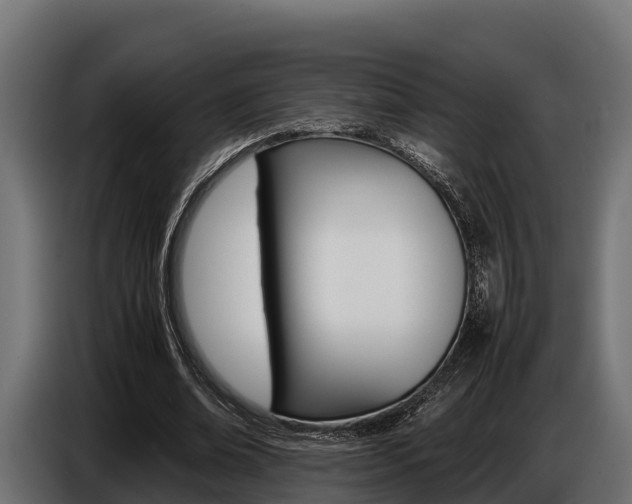 X0000086770678200704130837
