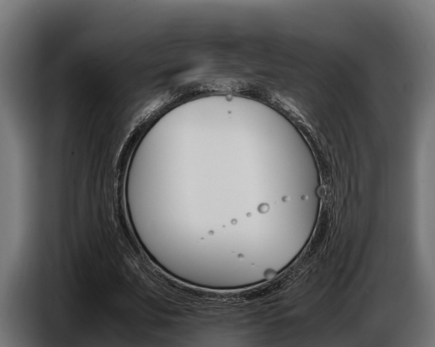 X0000086770679200704130837