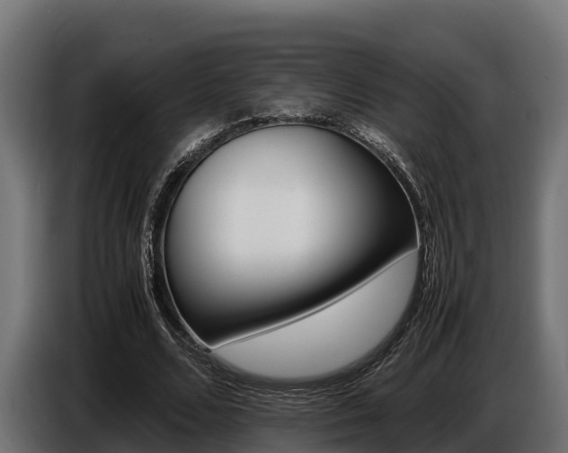 X0000086770680200704130837