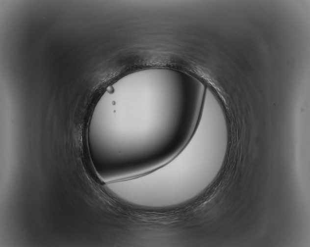 X0000086770681200704130837
