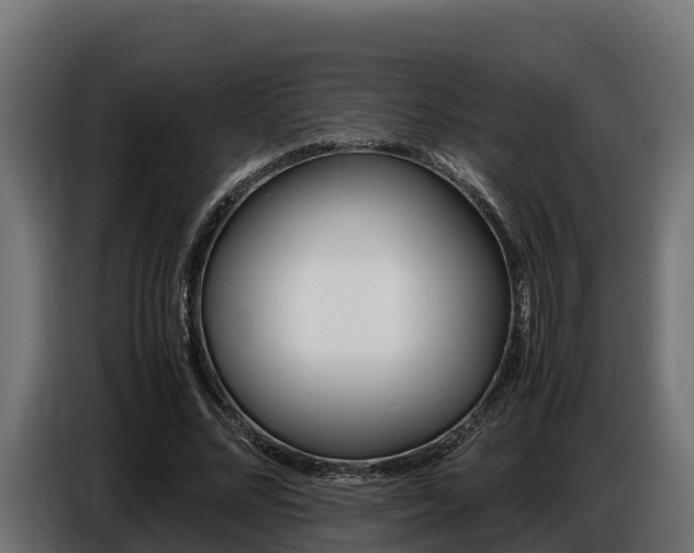 X0000086770684200704130837