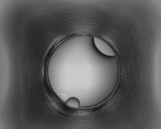X0000086770686200704130837