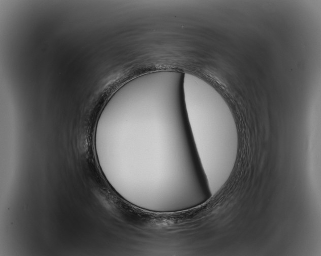 X0000086770687200704130837