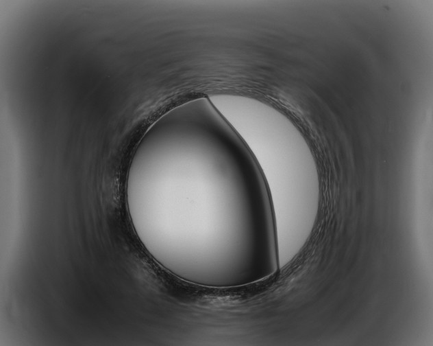 X0000086770689200704130837