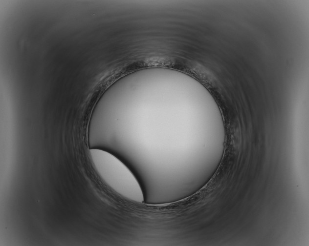 X0000086770690200704130837
