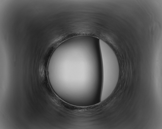 X0000086770692200704130836