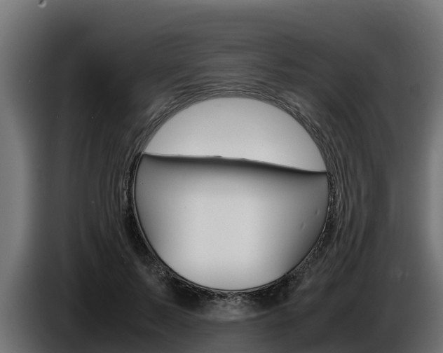 X0000086770695200704130836