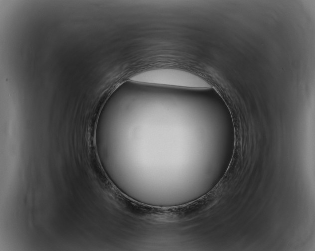 X0000086770696200704130836