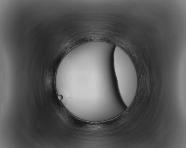 X0000086770698200704130836