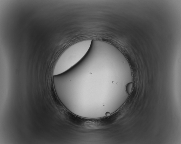 X0000086770699200704130836