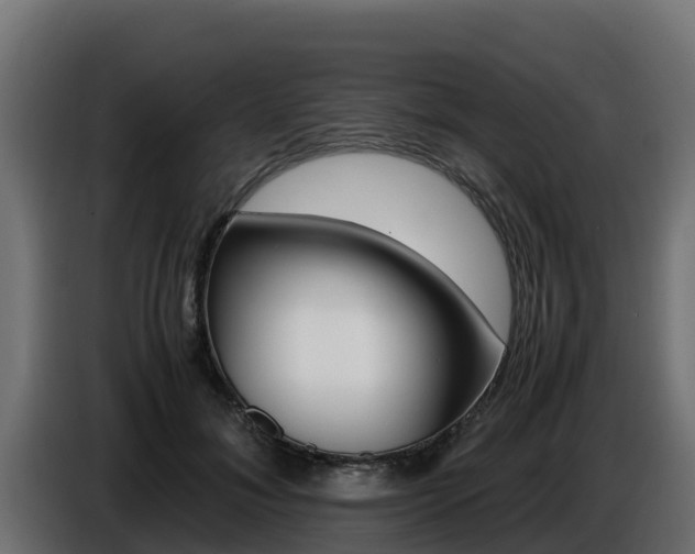 X0000086770700200704130836