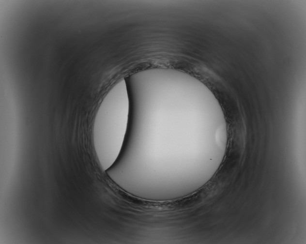 X0000086770702200704130836
