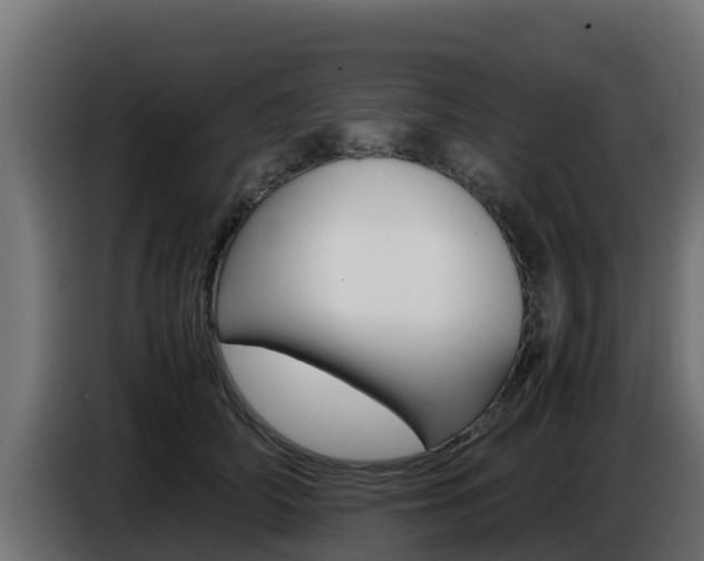 X0000086770706200704130836