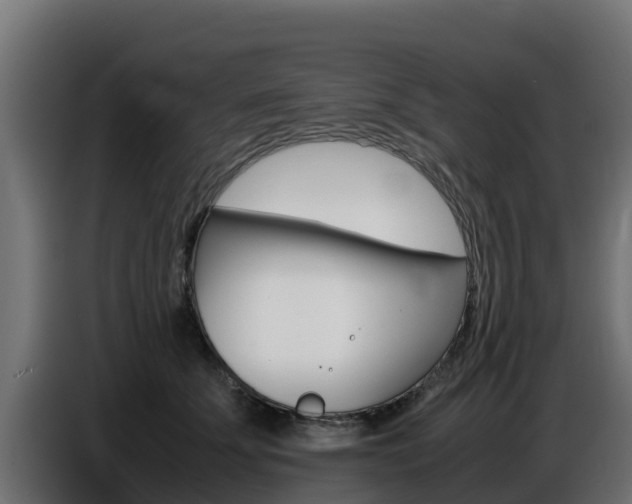 X0000086770707200704130836